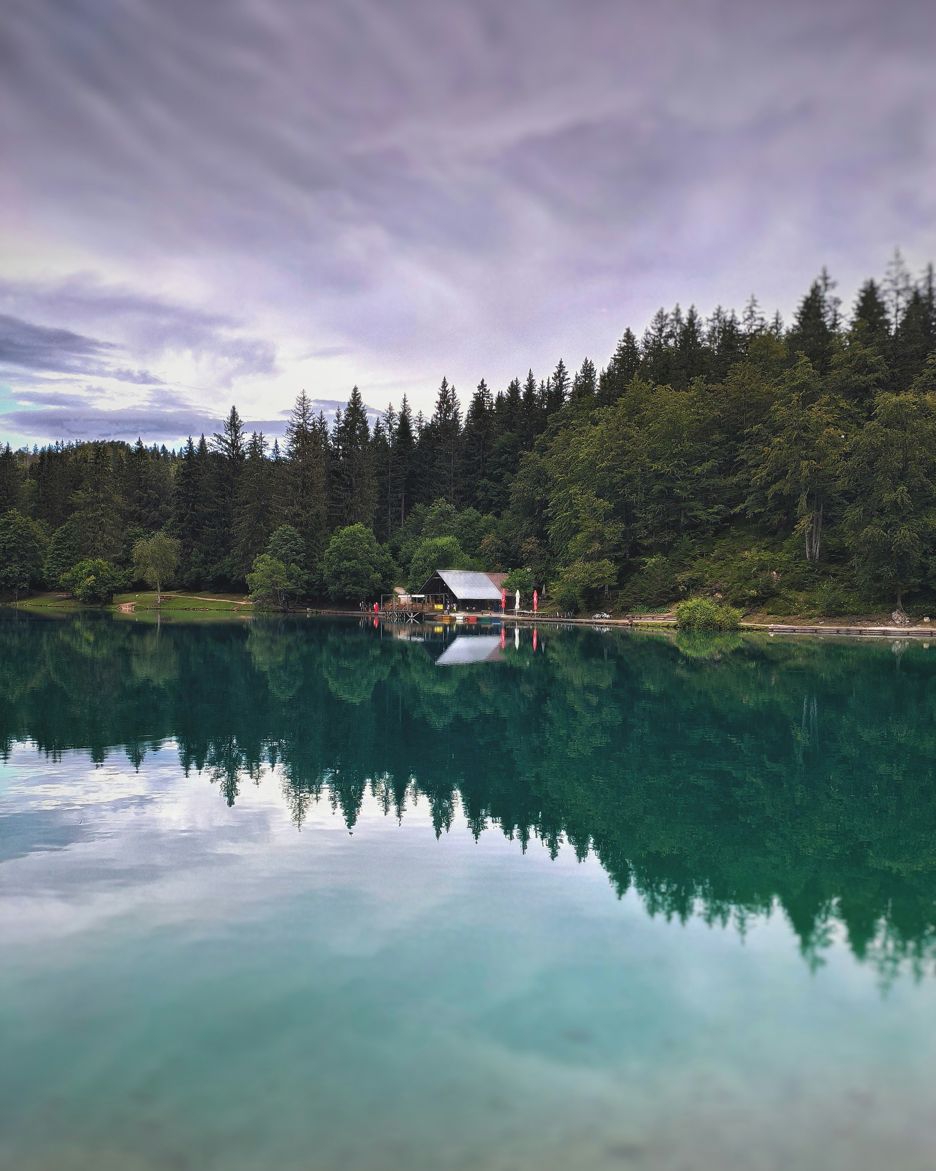 green trees beside lake under cloudy sky during daytime